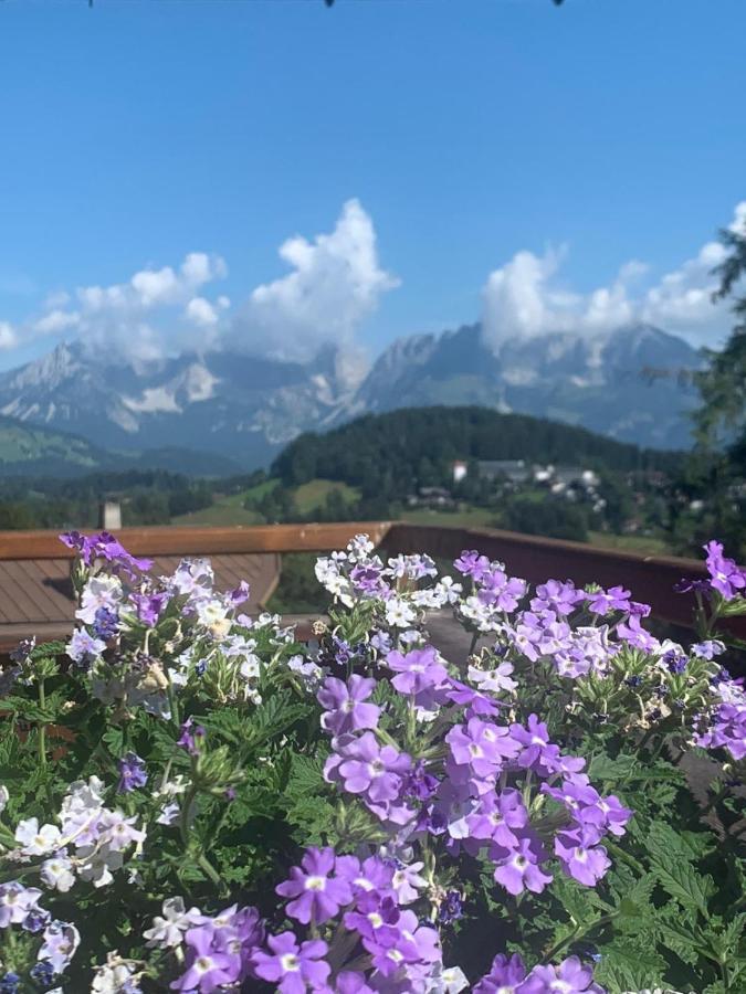 Pension Hinterseer Kitzbühel Exteriör bild