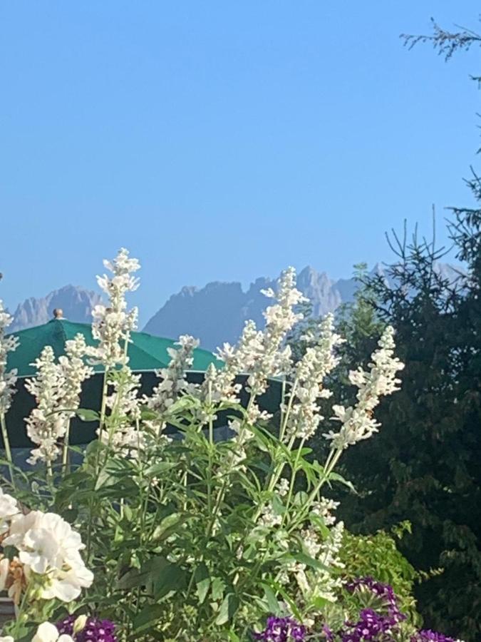 Pension Hinterseer Kitzbühel Exteriör bild